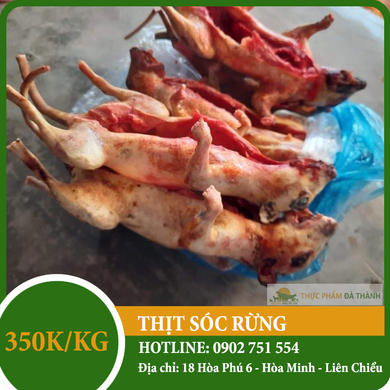 Cách trình bày và thưởng thức