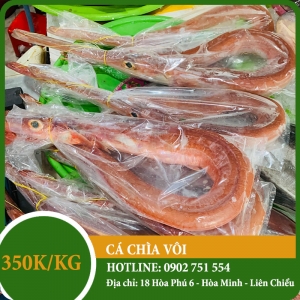 Cá chìa vôi  Cá chìa vôi