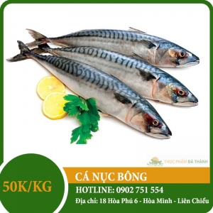 Cá nục bông Cá nục bông