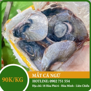 Mắt cá ngừ đại dương Mắt cá ngừ đại dương