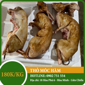 Thịt Thỏ Thịt Thỏ